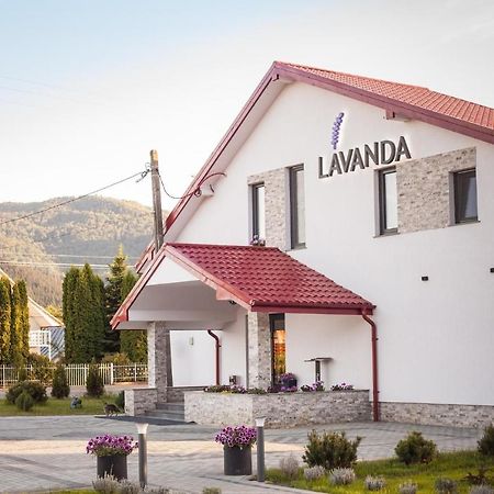 Pensiunea Lavanda, Piatra-Neamt Piatra Neamţ エクステリア 写真