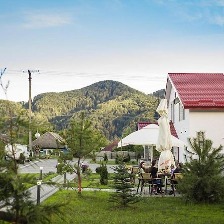 Pensiunea Lavanda, Piatra-Neamt Piatra Neamţ エクステリア 写真