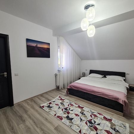 Pensiunea Lavanda, Piatra-Neamt Piatra Neamţ エクステリア 写真