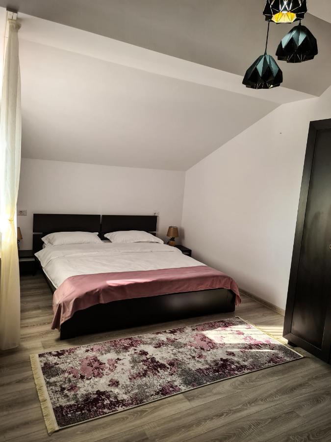 Pensiunea Lavanda, Piatra-Neamt Piatra Neamţ エクステリア 写真