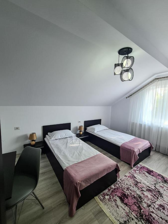 Pensiunea Lavanda, Piatra-Neamt Piatra Neamţ エクステリア 写真