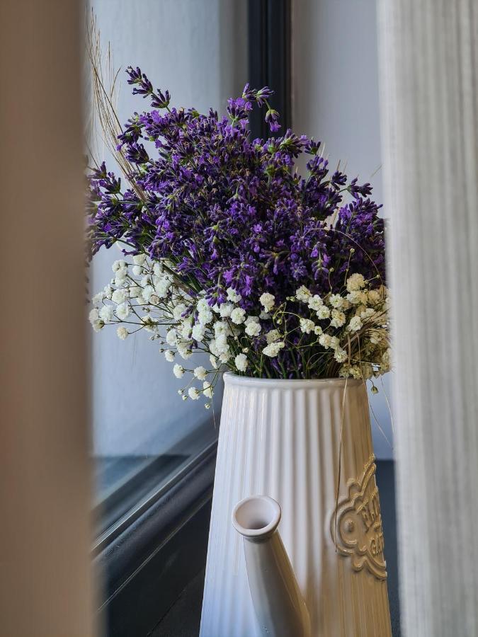 Pensiunea Lavanda, Piatra-Neamt Piatra Neamţ エクステリア 写真