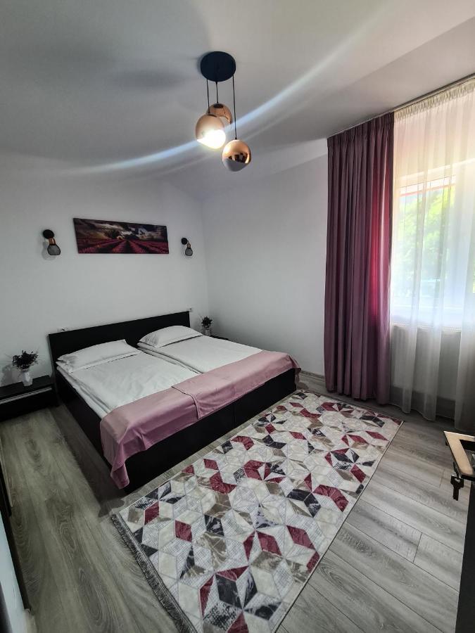 Pensiunea Lavanda, Piatra-Neamt Piatra Neamţ エクステリア 写真