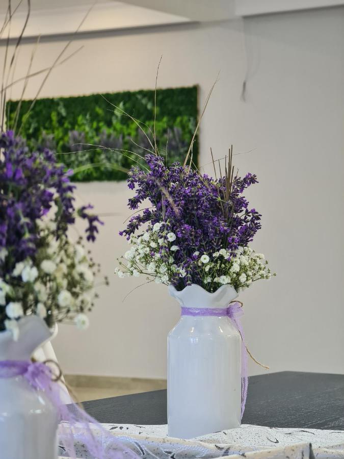 Pensiunea Lavanda, Piatra-Neamt Piatra Neamţ エクステリア 写真