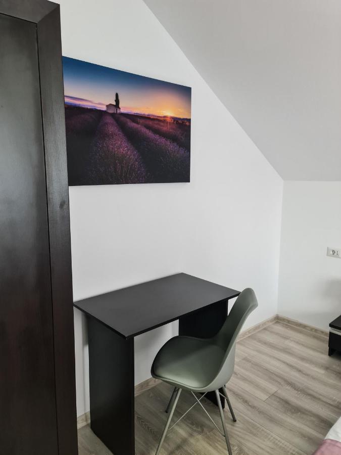 Pensiunea Lavanda, Piatra-Neamt Piatra Neamţ エクステリア 写真