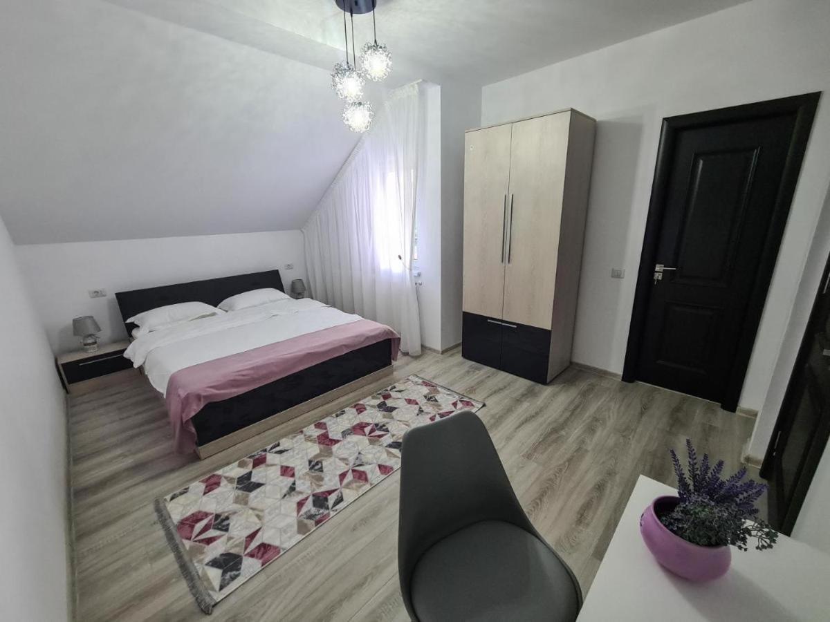 Pensiunea Lavanda, Piatra-Neamt Piatra Neamţ エクステリア 写真